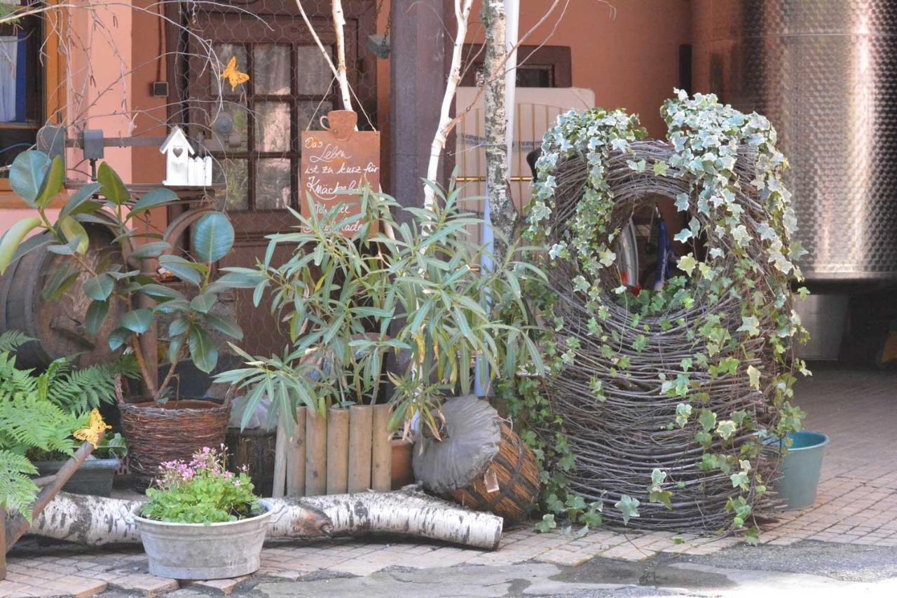 CHEZ MYRIAM Bed&Breakfast studio Parme Colmar Exterior foto